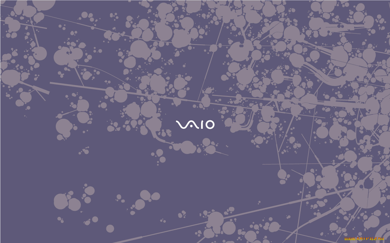 , vaio